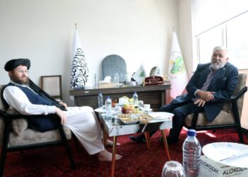 طالبان از ملل متحد خواست در بخش کشاورزی و مالداری به افغانستان کمک کند
