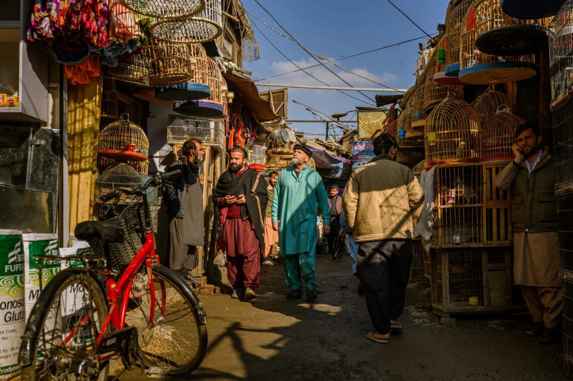 طالبان از سفر بیش از ۸ هزار شهروند خارجی به افغانستان طی شش ماه خبر داد