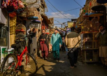 طالبان از سفر بیش از ۸ هزار شهروند خارجی به افغانستان طی شش ماه خبر داد