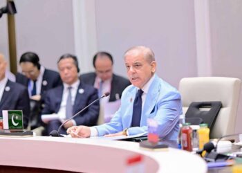 پاکستان می‌گوید خواستار افغانستانی باثبات و مرفه است