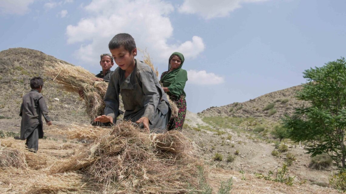ملل متحد: ۴۴۰ کودک در سه سال در افغانستان کشته شدند
