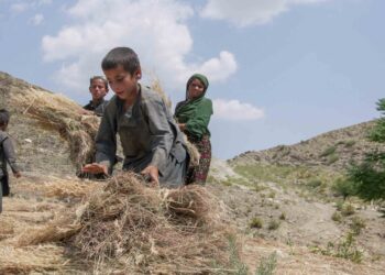 ملل متحد: ۴۴۰ کودک در سه سال در افغانستان کشته شدند